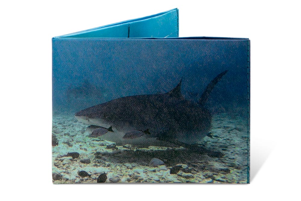 Spocket Classic Plus Sharks XTR